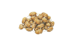 Lactobacillus rhamnosus (8 Bn CFU)