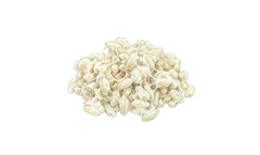 Lactobacillus fermentum (4 Bn CFU)